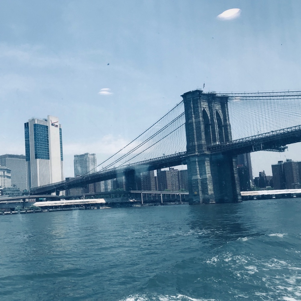 Meet your Posher, Liv!